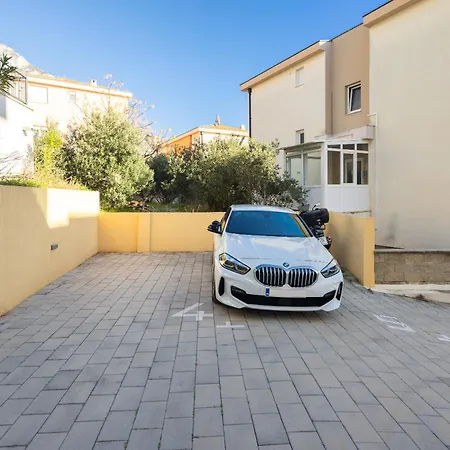 Dalmatian Olive 马卡尔斯卡